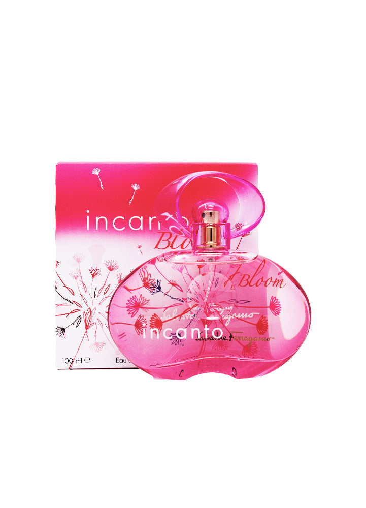 Incanto bloom best sale new edition